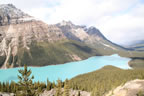 Peyto-Lake