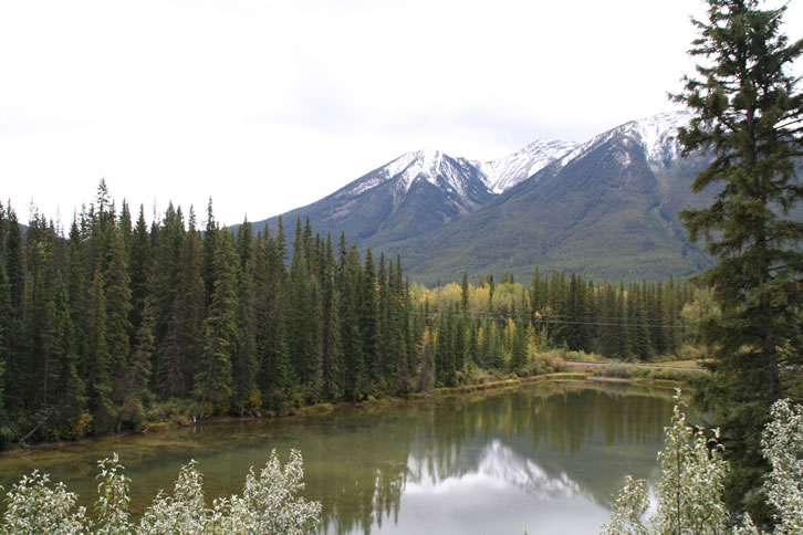 See am Bow Valley Parkway nahe Banff