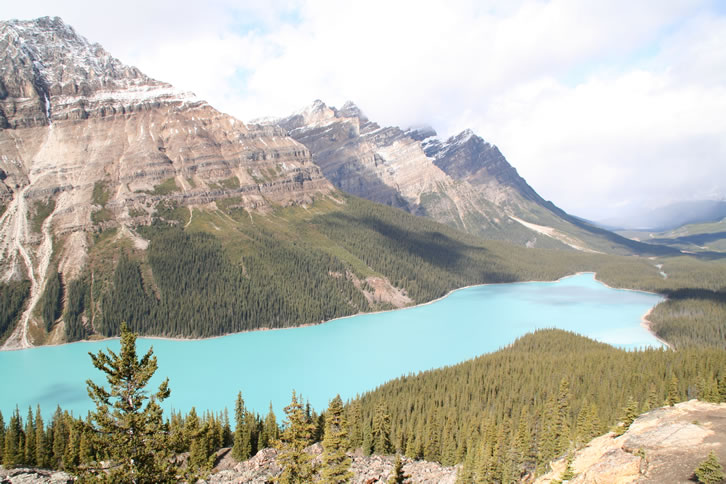 Peyto Lake Lookout