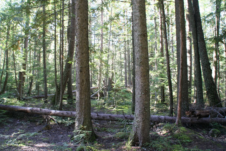 Wells Gray Provincial Park
