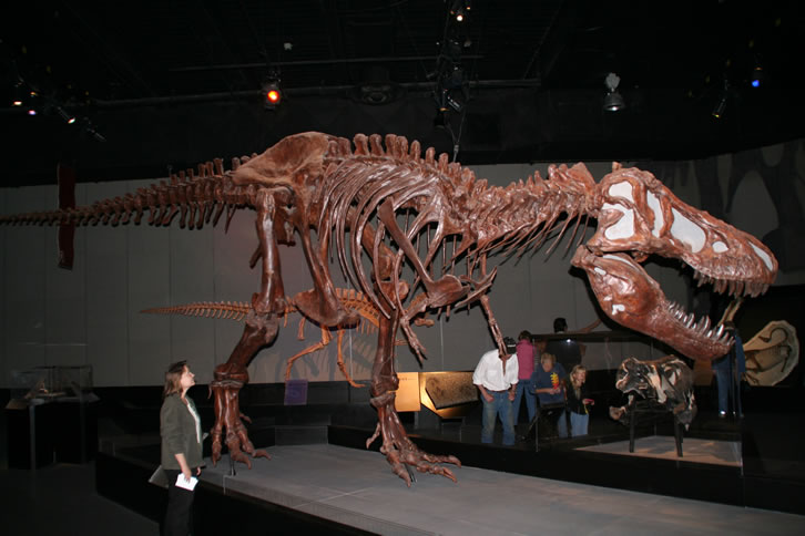 Royal Tyrell Museum of Palaeontology in Drumheller