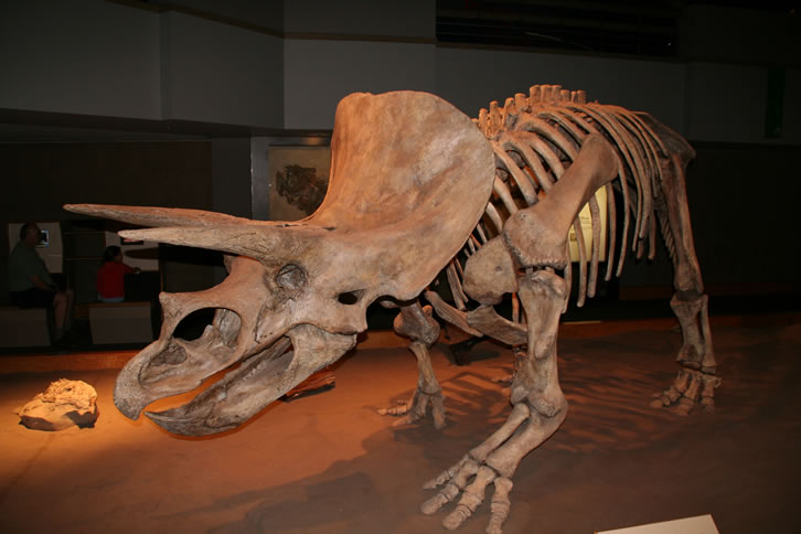 Royal Tyrell Museum of Palaeontology in Drumheller