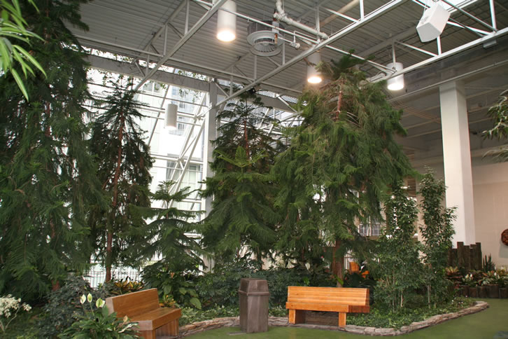 Devonian Gardens